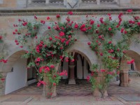 /album/fotos-europa/img-20180612-133849-small-jpg/